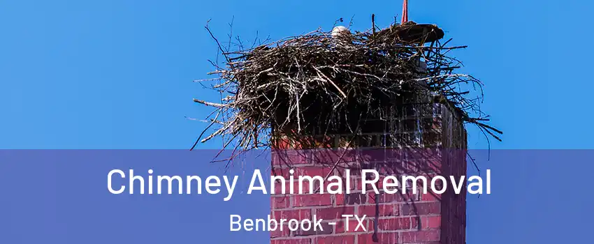  Chimney Animal Removal Benbrook - TX