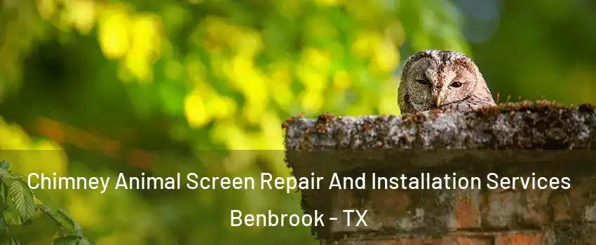  Chimney Animal Screen Repair And Installation Services Benbrook - TX
