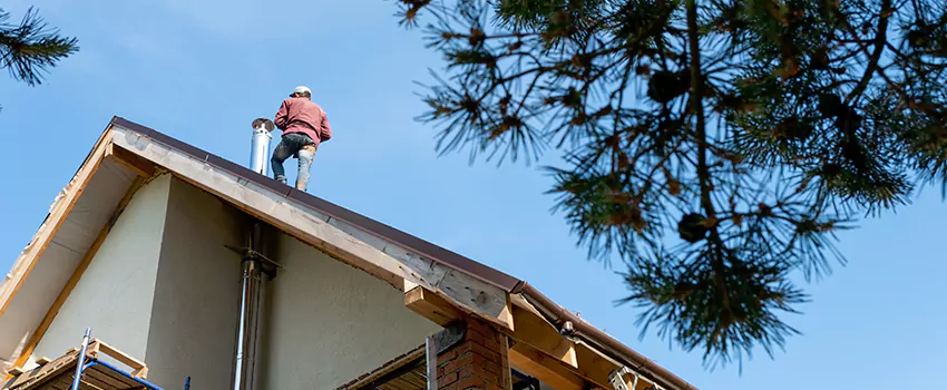 Birds Removal Contractors from Chimney in Benbrook, TX