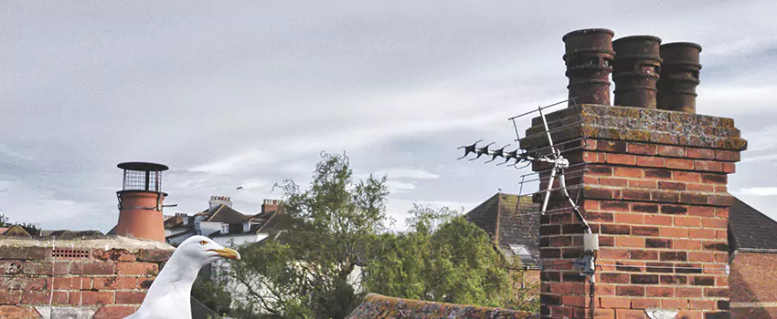 Chimney Cleaning And Restoration in Benbrook, Texas