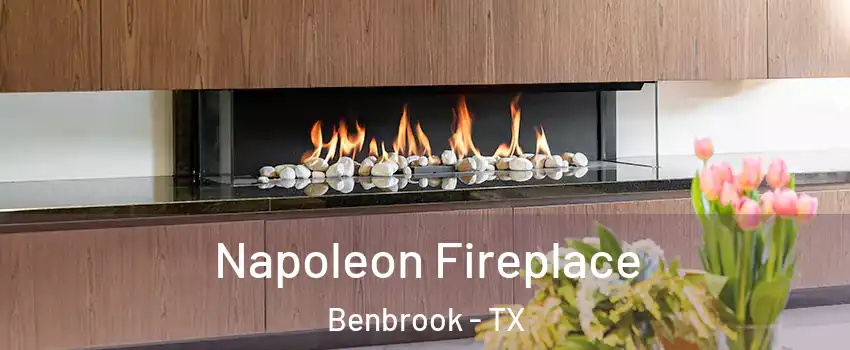  Napoleon Fireplace Benbrook - TX